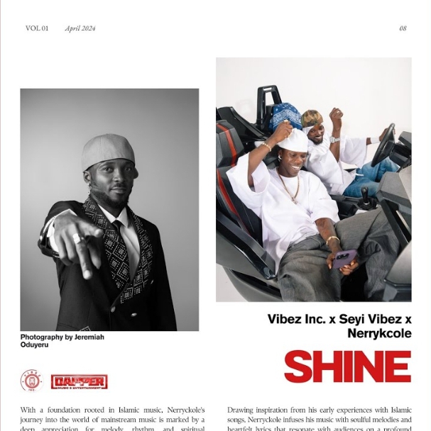 Vibez Inc Ft. Seyi Vibez & Nerrykcole – Shine